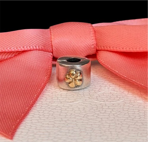 Original pandora bicolor clip - bicolor,