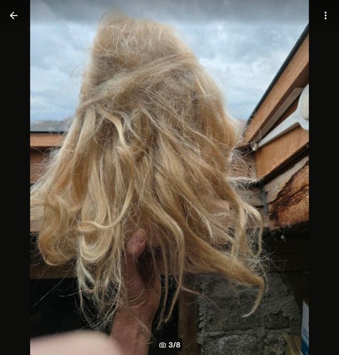 Profi friseur übungsköpfe - 2,