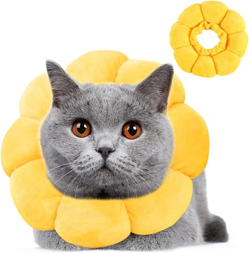 Premium halskrause katze - premium,