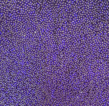 Wasserperlen 3 L Hydroperlen