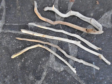 6x Skulptur Schwemmholz Treibholz Figur Tier Schlange Deko basteln 44 - 66 cm