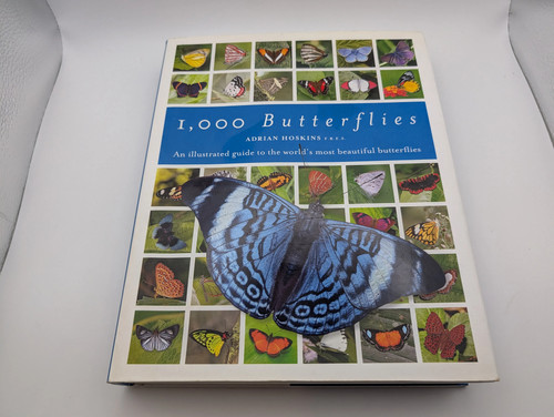 000 butterflies an - butterflies:,