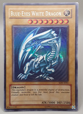 Blauäugiger Weißer Drache