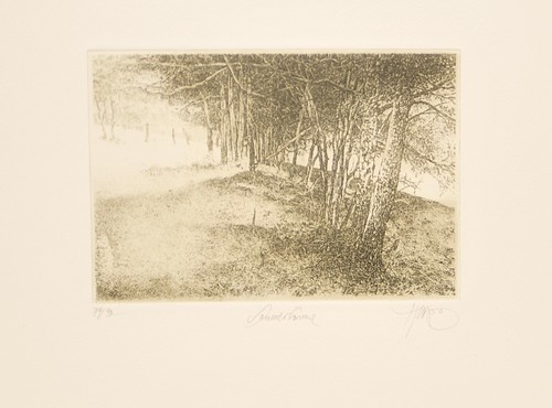 Walter herzog handsigniert - walter, /handsigniert/