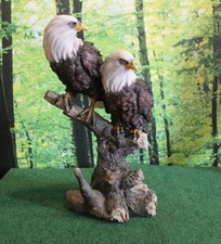 Weißkopfseeadler Pärchen auf