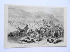 Bilder aus Chiwa. Uebergang einer Karawane über den Murgab. Holzstich von 1873