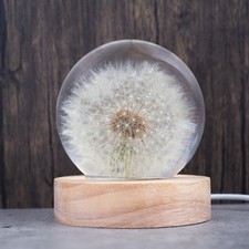  1 Set stilvolle DIY -Kugel -Lampe schöne DIY -Kugel -Lampe Premium LED