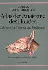 Atlas der anatomie des hundes - der,