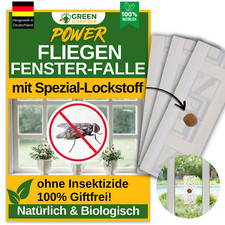 3-9x Fallen - Fenster