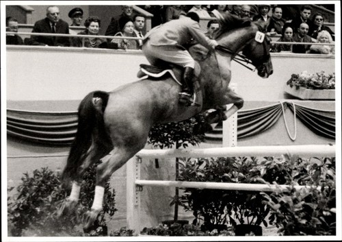 Foto berlin springreiten - foto, berlin,