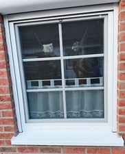 11 Fensterbänke von Gutmann weiß 16,5cm tief - Neu !!