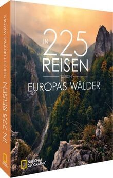 Bildband wald in 225 - wald,