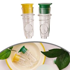 Kleine Zitronenpresse mit