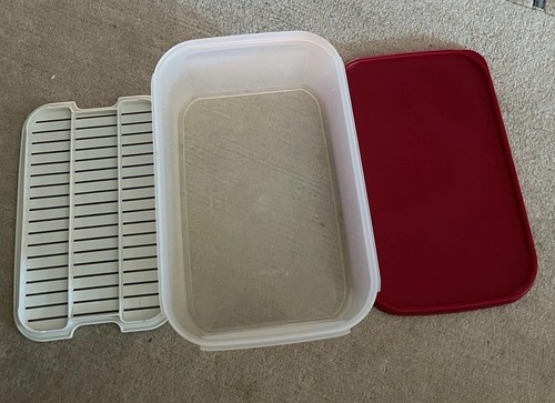 Tupperware eidgenosse - tupperware,
