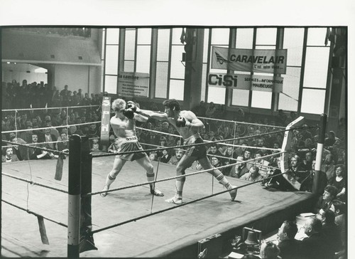 James fox boxen boxing 1970s - james,