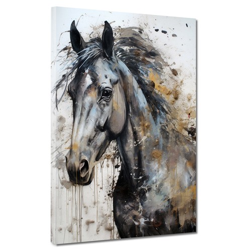 Pferd porträt schwarz - schwarz, weiß