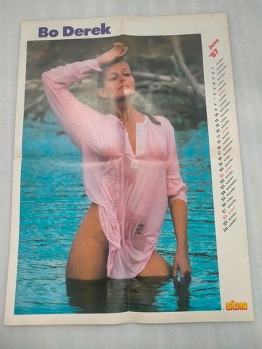 Derek pin poster sun - pin,