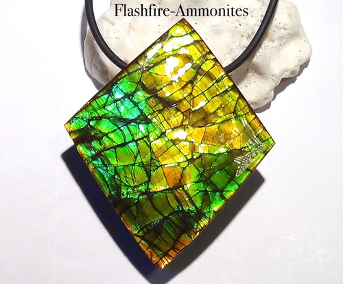Gramm riesen ammolite - ,