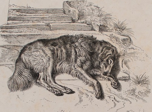 Johann adam klein romantik - johann,