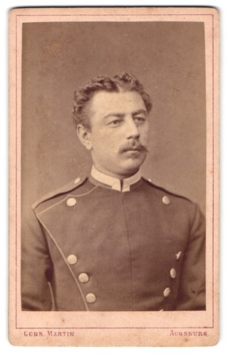 Photograph used martin - photograph,