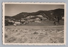 Gutach Schwarzwaldbahn -