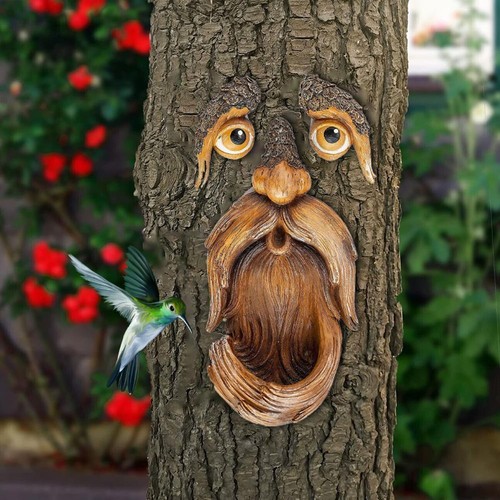 Vogelfütterung baum gesicht - vogelfütterung,