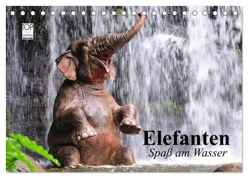 Elefanten spaß wasser - am,