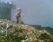 ca. 20-25kg Pferdemist Gartendünger Rosendünger Natur Dünger Mist 0,25€/ Kg