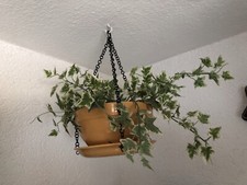 Keramik Blumenampel Hängeampel mit Efeubusch künstlich Erbstück Nachlass