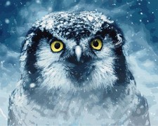 Malen nach Zahlen auf