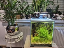 AQUAEL Shrimp Set LED 20L