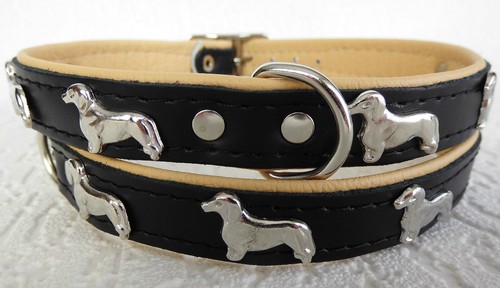 Dackel hundehalsband leder - *dackel*, hundehalsband,
