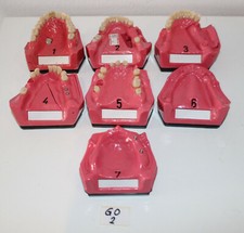 Go Dent Schaumodelle 1-7