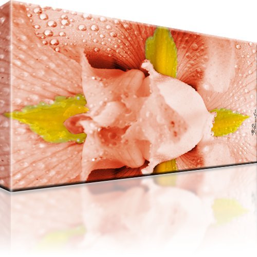 Blumen abstrakt bild - blumen,