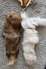 2x Fuchsschwanz Fuchs Schwanz
