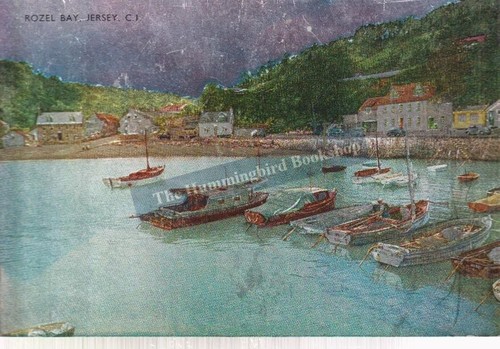 Rozel bay jersey luminex - bay,