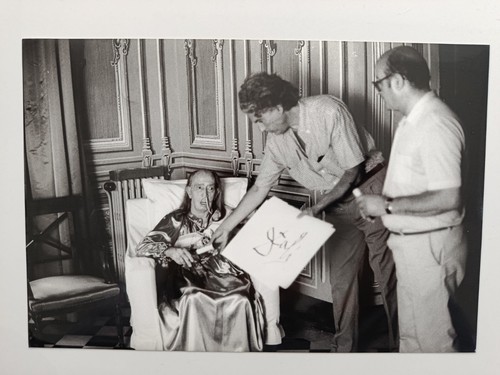 Salvador dali helmut - dali, newton