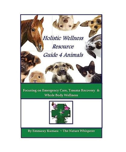 Holistic wellness resource - holistic,