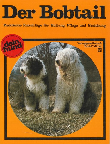 Der bobtail old english - bobtail, •