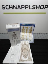 42cm mini mensch - 42cm, skelett