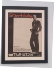 Steve harley roll - harley*roll, the
