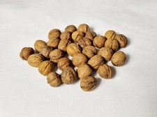 Igart 10 kg kleine Walnüsse mit Schale für Tiere zweite Wahl Öko Qualität