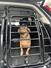 Hundebox Volvo XC90 Inklusive