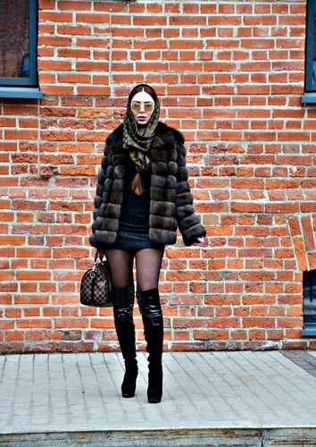 Exquisiter russischer zobel - russischer,