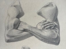 Heinrich Walther Anatomie Studie männlicher Torso - Signierte Orig. Kohlez. 1909