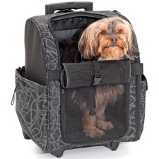 Karlie Trolly / Trolley /