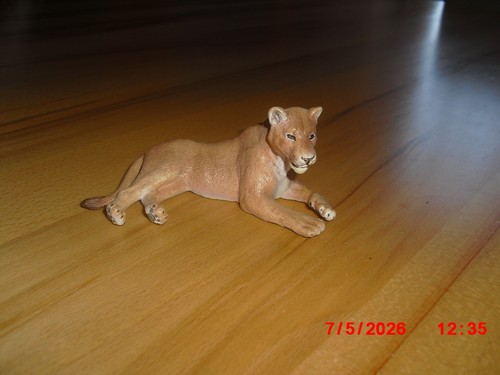 Schleich löwin liegend - :,