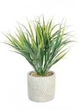 Brandneu mit Etikett