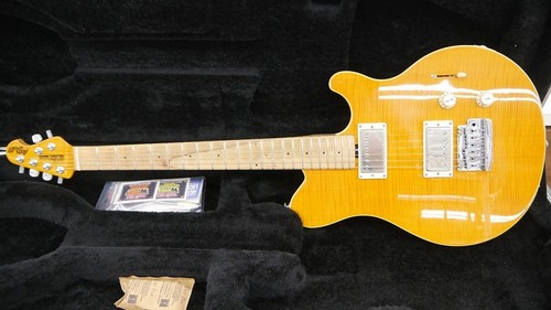Gitarre ernie ball - ernie,