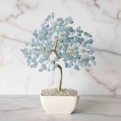 Aquamarin baum 20cm - aquamarin,